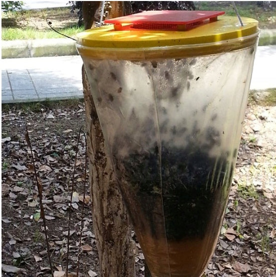 PUŁAPKA NA MUCHY WOREK NA MUCHY KOŃSKIE DO STAJNI OBORY GARAŻU LWEIGHT XXL