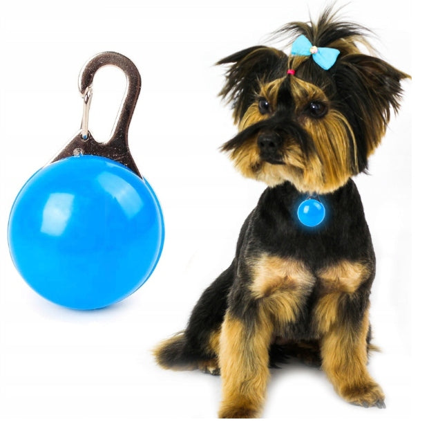 LAMPKA LED ŚWIECĄCA na obrożę dla PSA KOTA ZAWIESZKA KOLORY