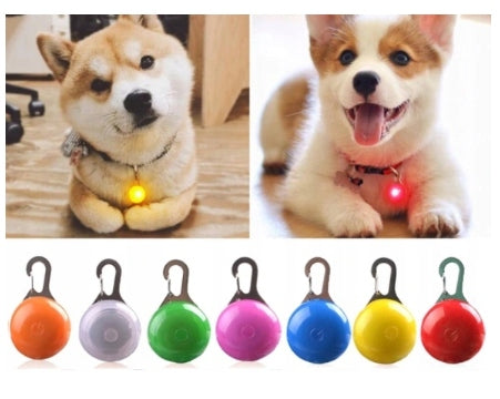 LAMPKA LED ŚWIECĄCA na obrożę dla PSA KOTA ZAWIESZKA KOLORY