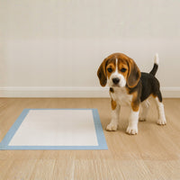 PODKŁADY DLA PSÓW Higieniczne Maty Dla Psa Do Sikania Zwierząt 60x60 100szt